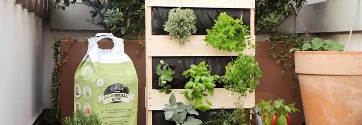 Vertikaler Kräutergarten auf einem Balkon